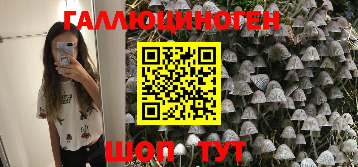 Галлюциногенные грибы мухоморы  Вход с VPN  Гай 